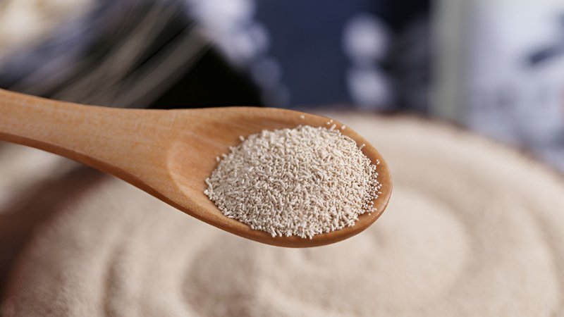 Men khô hoạt tính (active dry yeast)