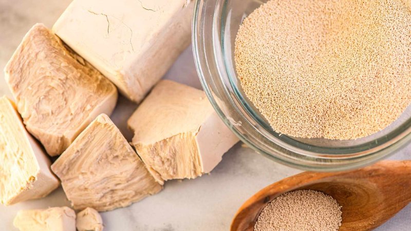 Sai lầm thường gặp khi dùng men nở